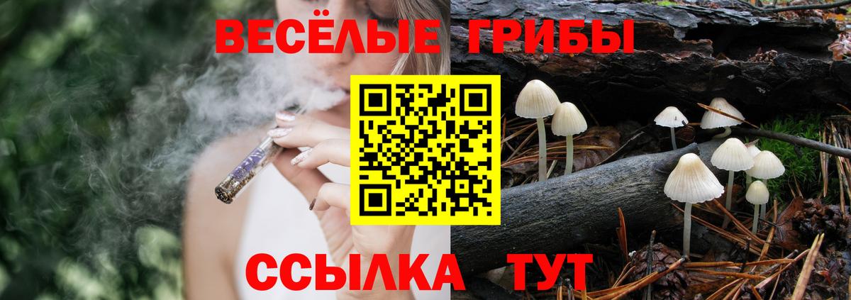 купить наркотик  Вход с VPN  Дербент  Галлюциногенные грибы Psilocybe 